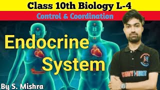 Endocrine System Class 10  L4 Control amp Coordination viralvideotrendingshortsvideotrend [upl. by England]