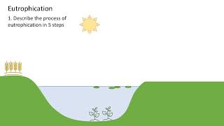 Eutrophication A level biology [upl. by Dulci]