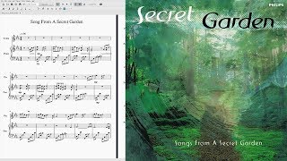 Song From A Secret Garden  Violin Cover [upl. by Somar894]