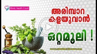 3 Wart removal home remedies in Malayalam  അരിമ്പാറ  How To Stop Warts  Ethnic Health Court [upl. by Nileak]