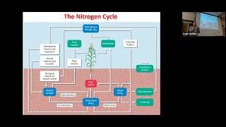 Nutrient Cycles Part 1 Nitrogen and Phosphorus [upl. by Gadmann]