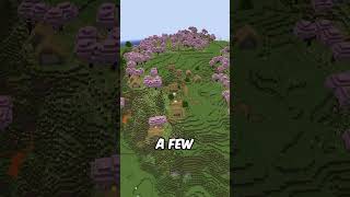 THIS IS A MUST TRY SEED FOR MINECRAFT minecraft bestbrokenseeds mcyt seeds [upl. by Rothenberg]