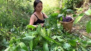 A day of collecting herbs of a highland girl [upl. by Trini]