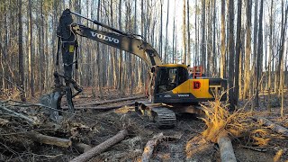 Clearing Trails And Food Plots On This Farm [upl. by Ayalat59]