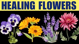 Discover 14 Edible Flowers with Incredible Health Benefits [upl. by Noiroc814]