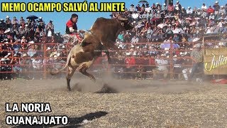 ¡EL MEJOR JARIPEO DEL AÑO 22 DESTRUCTORES DE MEMO OCAMPO EN LA NORIA GUANAJUATO [upl. by Regan646]