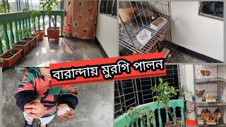 বারান্দায় মুরগি পালন🥰 শহুরে বাসায় বারান্দায় আমি যেভাবে মুরগি পালন করি😍🥰🐓 খাঁচায় মুরগি পালন 🐔 [upl. by Esinad]