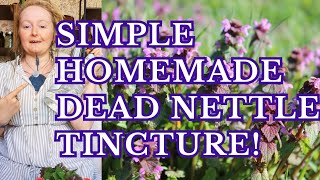 Lets make a super easy Dead Nettle Tincture [upl. by Enamrahc]