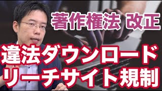 【著作権法の改正】違法ダウンロード規制、リーチサイト規制について解説 [upl. by Koenig]