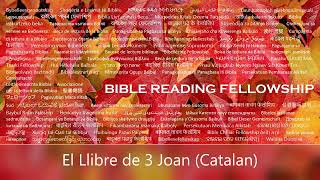 El Llibre de 3 Joan Catalan [upl. by Nuawtna]