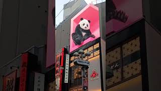 tokyo shibuya panda japan🇯🇵 jas explorer [upl. by Ahsiuqel]