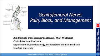 Genitofemoral Nerve Pain Block and Management [upl. by Gundry]