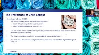 Remediating Child Labour Risks and Impacts Beyond Tier 1 [upl. by Bugbee]