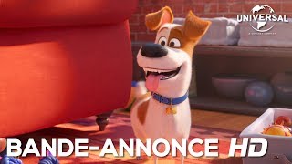 Comme Des Bêtes 2  bandeannonce 1 Universal Pictures HD [upl. by Airol670]