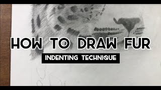 How to Draw Fur  Indenting Technique Drawing Tutorial Indenting [upl. by Constantia]