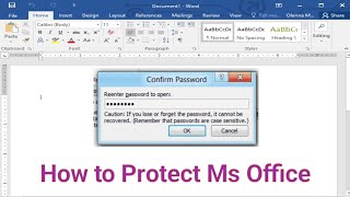 Protect Document  Password  MsWord MsExcel Prayashsir [upl. by Godewyn]