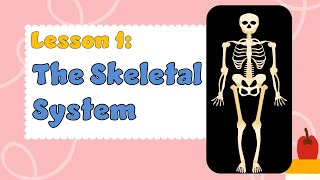 SKELETAL SYSTEM  GRADE 6  2ND QUARTER  SCIENCE 6  GENERAL EDUCATION [upl. by Htebazila682]