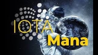 ¿Qué es el MANA de Iota [upl. by Redle156]