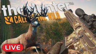 BACK on the GREAT ONE Whitetail GRIND Rancho Del Arroyo  theHunter Call of the Wild LIVE [upl. by Armand]