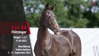 FohlenAuktion Lot 06 Flötzinger Hengst v Fidertanz  Florencio [upl. by Ardried]