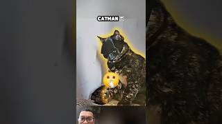 Best cosplay batman trolface trollfaceedit edit troll [upl. by Clarey]