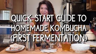 Quick Start Guide to Homemade Kombucha First Fermentation [upl. by Silvestro]