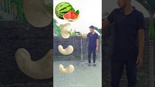 Rounding cashew nut to Grapes Mango lichi amp Watermelon  Fruits names magic video [upl. by Gnak]