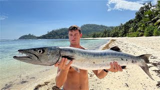 WHALE SHARK amp MONSTER BARRACUDA  Chasing Scale 🇸🇨 Ep 2 [upl. by Carena]