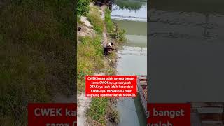 Percaya enggak percayalah remix dj djremix music jedagjedug mancing fishing ikan fish [upl. by Preuss401]