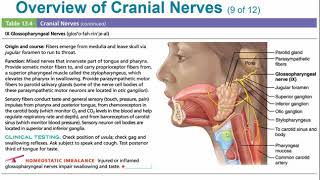 2113 Chapter 13  Peripheral Nervous System Part C [upl. by Ib]