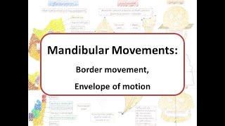 Mandibular movements Border movements and Envelope of Motion [upl. by Tessa]