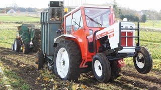 Vintage Sugarbeet Harvest 2024  Lots of Great Tractors in The Field [upl. by Enoyrt]