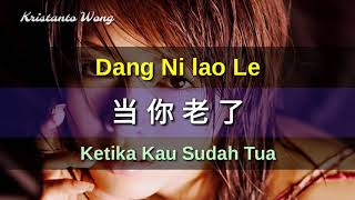 Lei Ting 雷婷  Dang Ni lao Le 当你老了 Ketika Kau Sudah Tua [upl. by Llednar290]