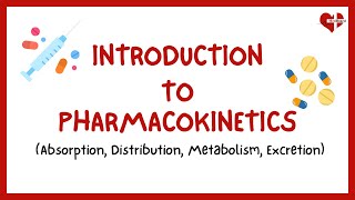 What is Pharmacokinetics  The ADME Process  Introduction to Pharmacokinetics [upl. by Ennasil]