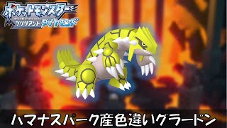 ハナマスパークで色違いグラードン狙います！【ポケモンBDSP】【初見、コメント歓迎】 [upl. by Mikal681]