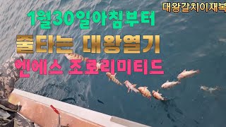 1월30일 아침부터줄타는 대왕열기 [upl. by Naul]