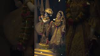 Jay Shree radha madhava🏵🏵 [upl. by Yrol]