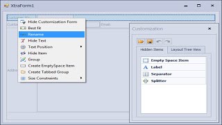 DevExpress Tutorial  Layout Control  FoxLearn [upl. by Gora]