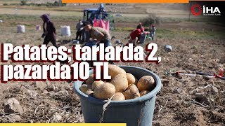 Sofraların Vazgeçilmezi Patates Tarlada 2 Pazarda 10 Lira [upl. by Pomcroy617]