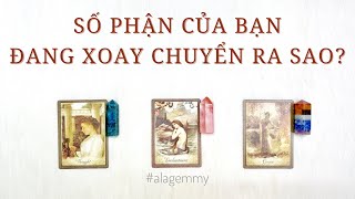 SỐ PHẬN CỦA BẠN ĐANG XOAY CHUYỂN RA SAO 🎡🗽⛲️🏭🚦Tarot✅🎊 [upl. by Nairrod]