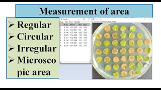 How to calculate the area of circle irregular square images [upl. by Editha632]