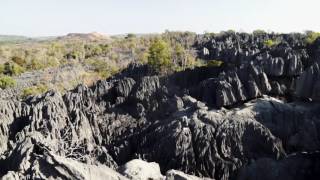 Hiking Tsingy de Bemaraha National Park Madagascar [upl. by Aicatsana]