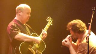 Classico  Tenacious D  013 Tilburg 09022015 [upl. by Nerro66]