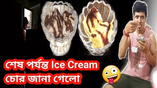 Healthy Lifestyle Vlog  বাড়িতে ঢুকলো Icecream চোর  Healthy Icecream vlog EasyTipsTanushree1406 [upl. by Liam]