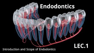 Endodontics Introduction and Scope of Endodontics  حشوات الجذور المحاضرة الاولى [upl. by Hofmann]