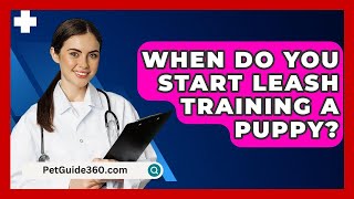 When Do You Start Leash Training A Puppy  PetGuide360com [upl. by Marcie]