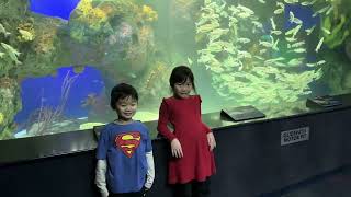 Ripley’s aquarium Wednesday Jan 24 2024 [upl. by Boice]