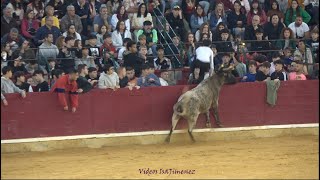 Zaragoza – Mañana vaquillera 06102024 – Nº166Marquina – quotSantos Zapateríaquot – HD [upl. by Grete]