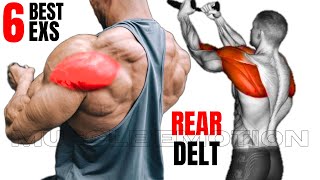 6 BEST REAR DELTOID EXERCISES AT GYM [upl. by Ahcmis]