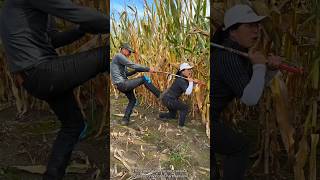 Super Practical Farming Tool for Rural Farmer  Amazing Agricultural Activities shorts satisfying [upl. by Cosette]